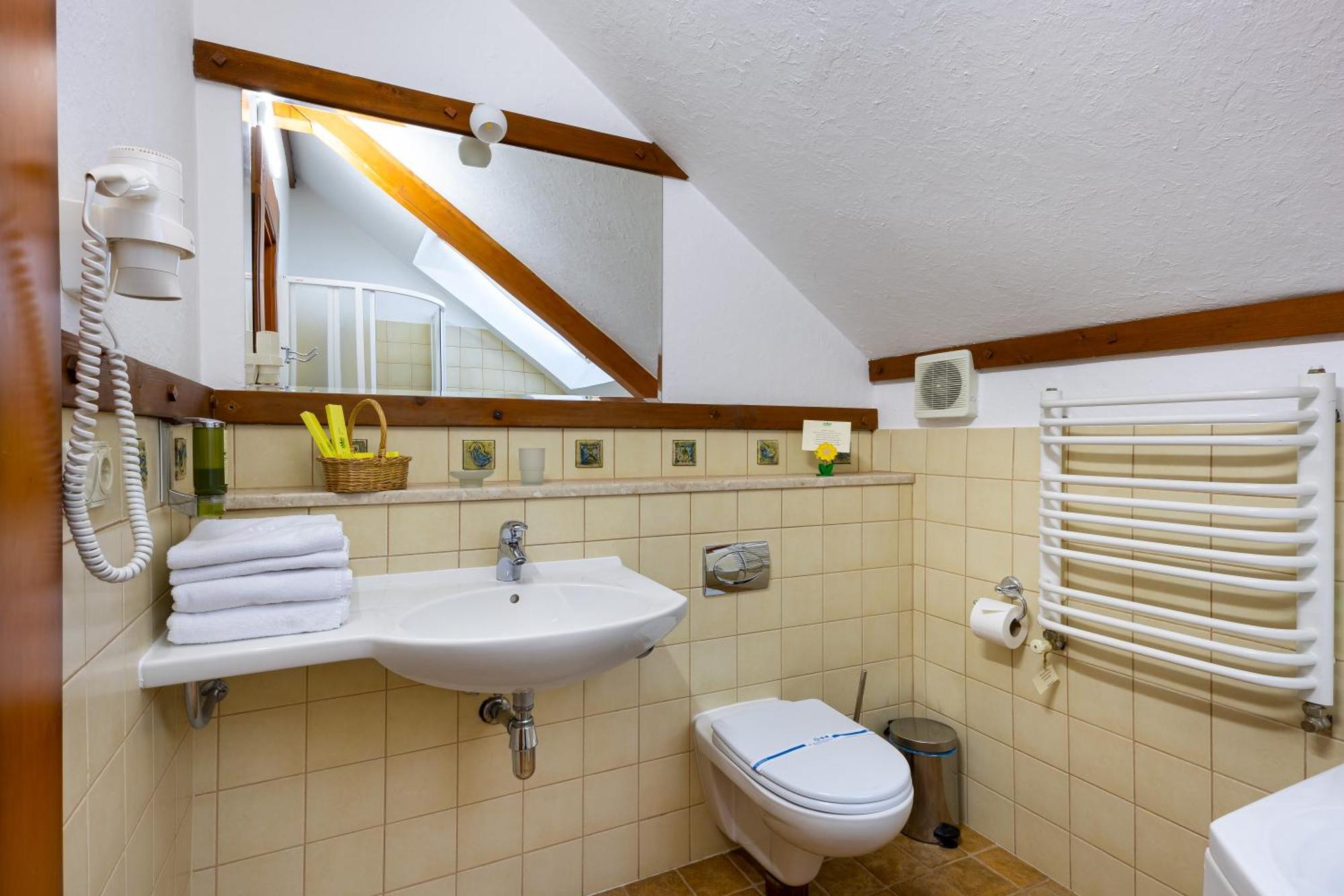 Koruna Tatariv Room photo